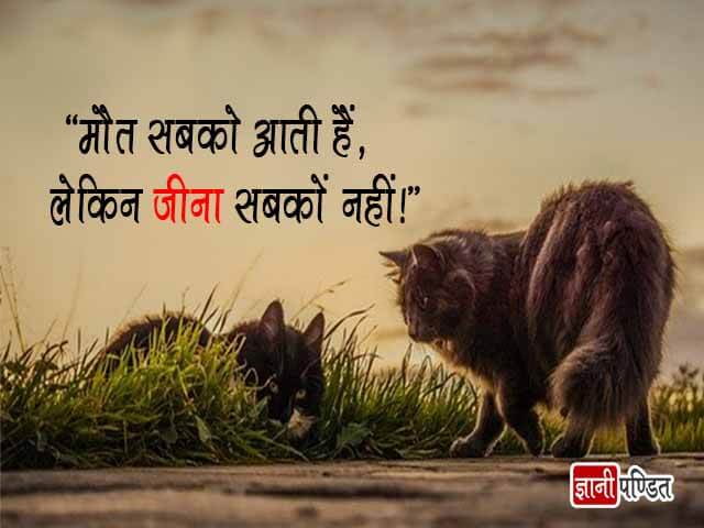 Awesome Thoughts in Hindi