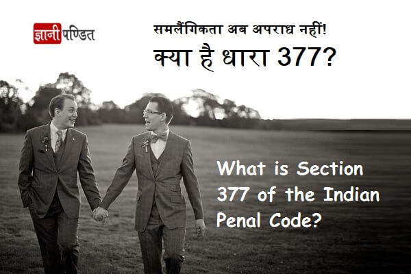 Section 377