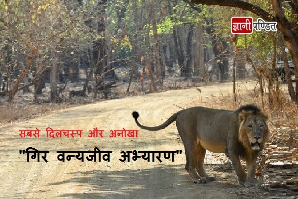 Gir National Park