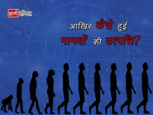 History of Human Evolution