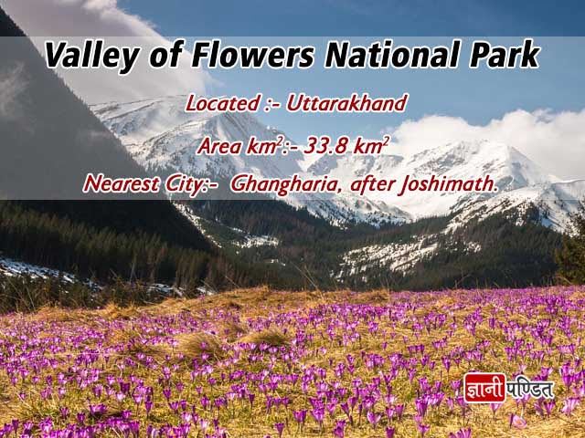 Valley of Flowers National Park