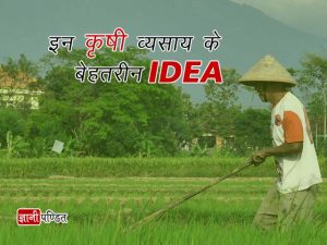 Agriculture Business Ideas