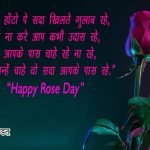 Rose Day Images