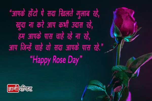 Rose Day Images