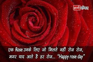 Rose Day Status