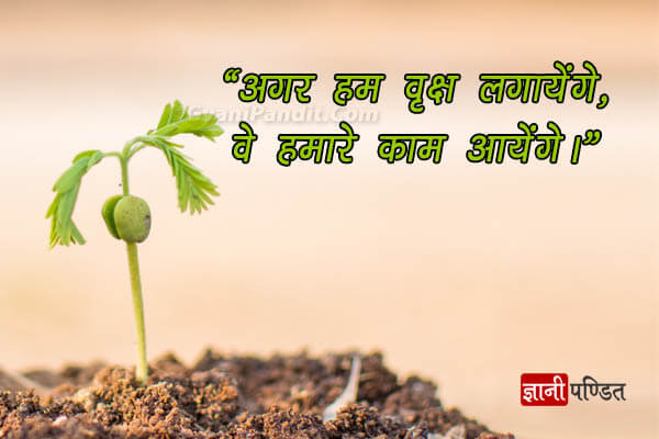 Quotes on Save Trees in Hindi