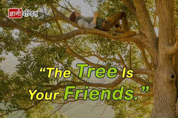 Quotes on Trees in Hindi