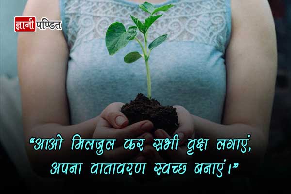 Save Trees Quotes