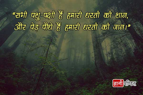 Save Trees Quotes