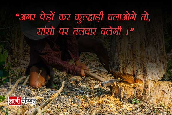 Save Trees Quotes