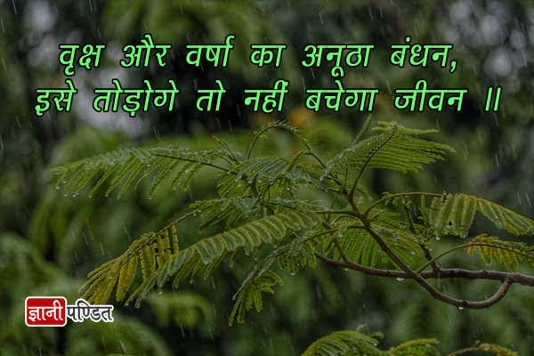 Save Trees Quotes