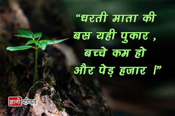 Save Trees Quotes