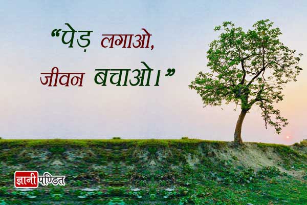 Save Trees Quotes