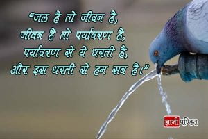 Save Water Slogans