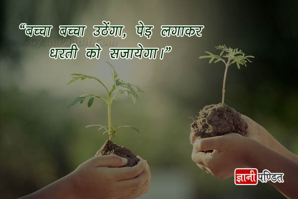 Slogan on Save trees in hindi