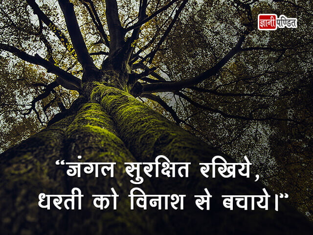 Slogan on Save Earth in Hindi
