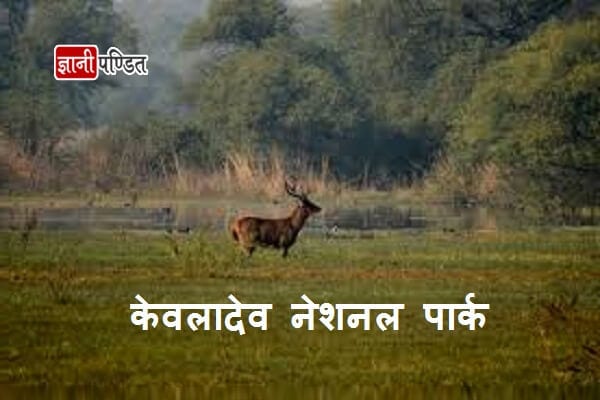 Keoladeo National Park in Hindi