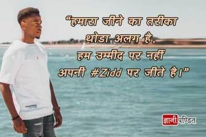 Royal Attitude Status in Hindi