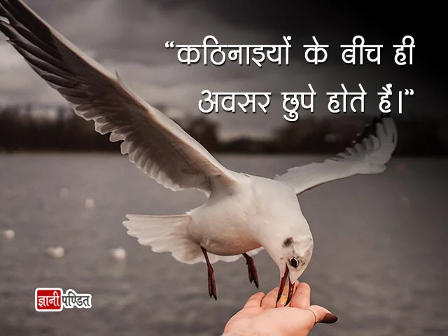 Thoughts of Albert Einstein in Hindi