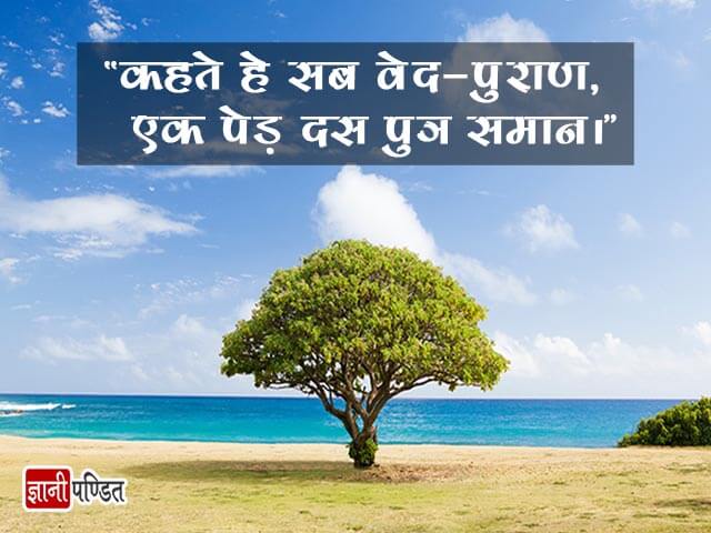 Slogan on Van Mahotsav in Hindi