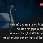 Anchoring  quotes 4-df9b5501