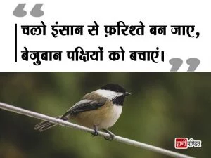 Save Birds Slogan in Hindi