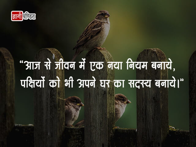 Slogan on Save Birds in Hindi