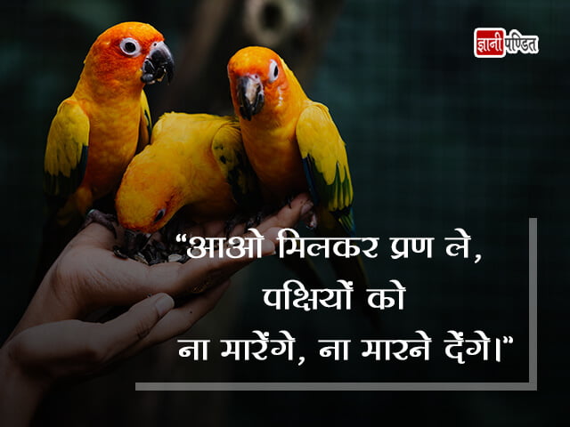 पक्षी बचाव पर २०+ सर्वश्रेष्ठ घोषवाक्य - Save Birds Slogan in Hindi