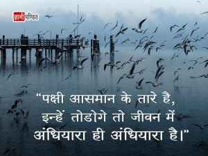 Quotes on Freedom of Birds in Hindi
