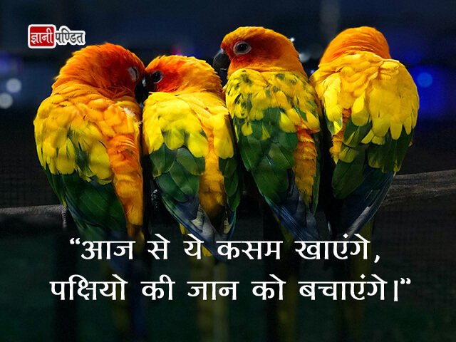 Shayari on Birds in Hindi