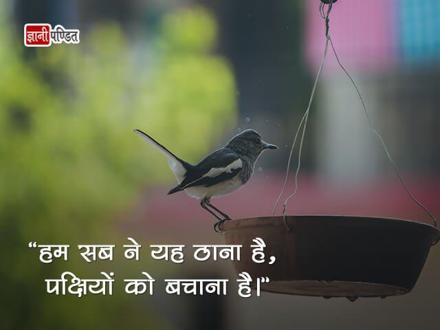 Quotes on Save Birds in Hindi