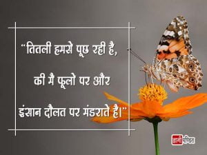Quotes on Butterfly in Hindi
