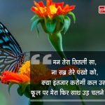 Butterfly Love Quotes in Hindi