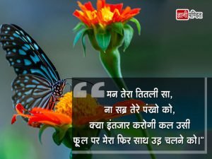 Butterfly Love Quotes in Hindi