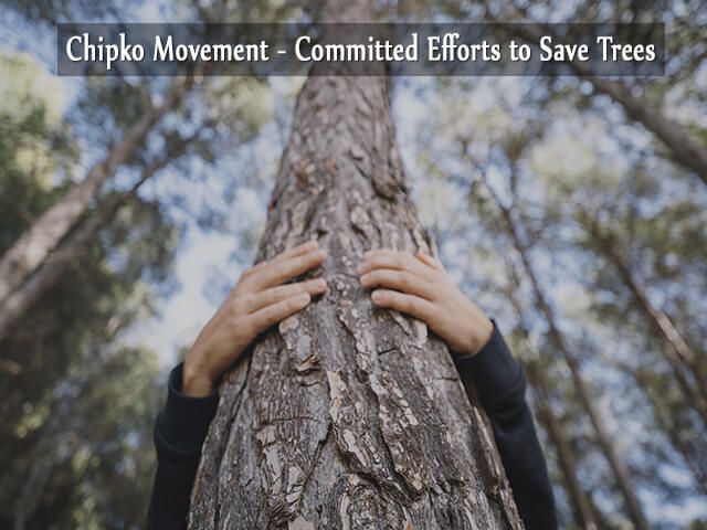 Bishnoi Community Chipko Movement