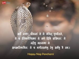 Nag Panchami Shayari in Hindi