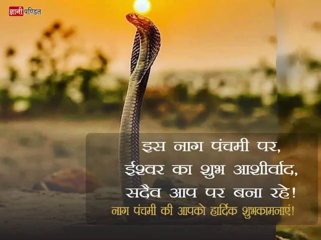 Nag Panchami Status in Hindi