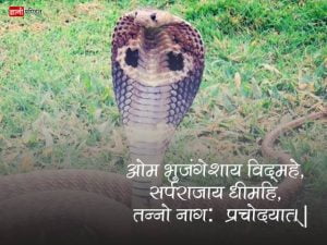 Nag Panchami Wishes in Hindi